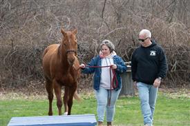 LR-WRF 0402026 Retreat-3530